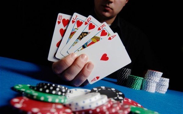 MULTIBET88 کیسینو میں بکراٹکھیلیں